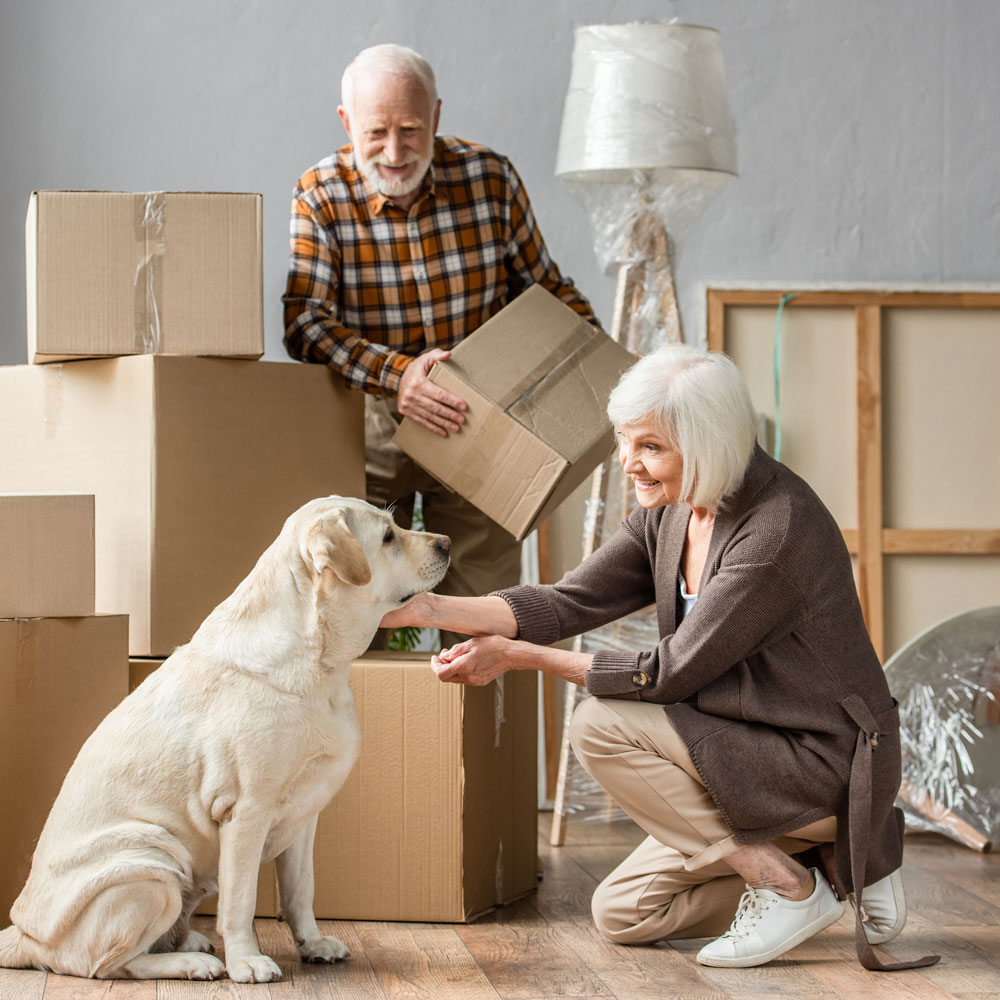 couple packing with dog in living room